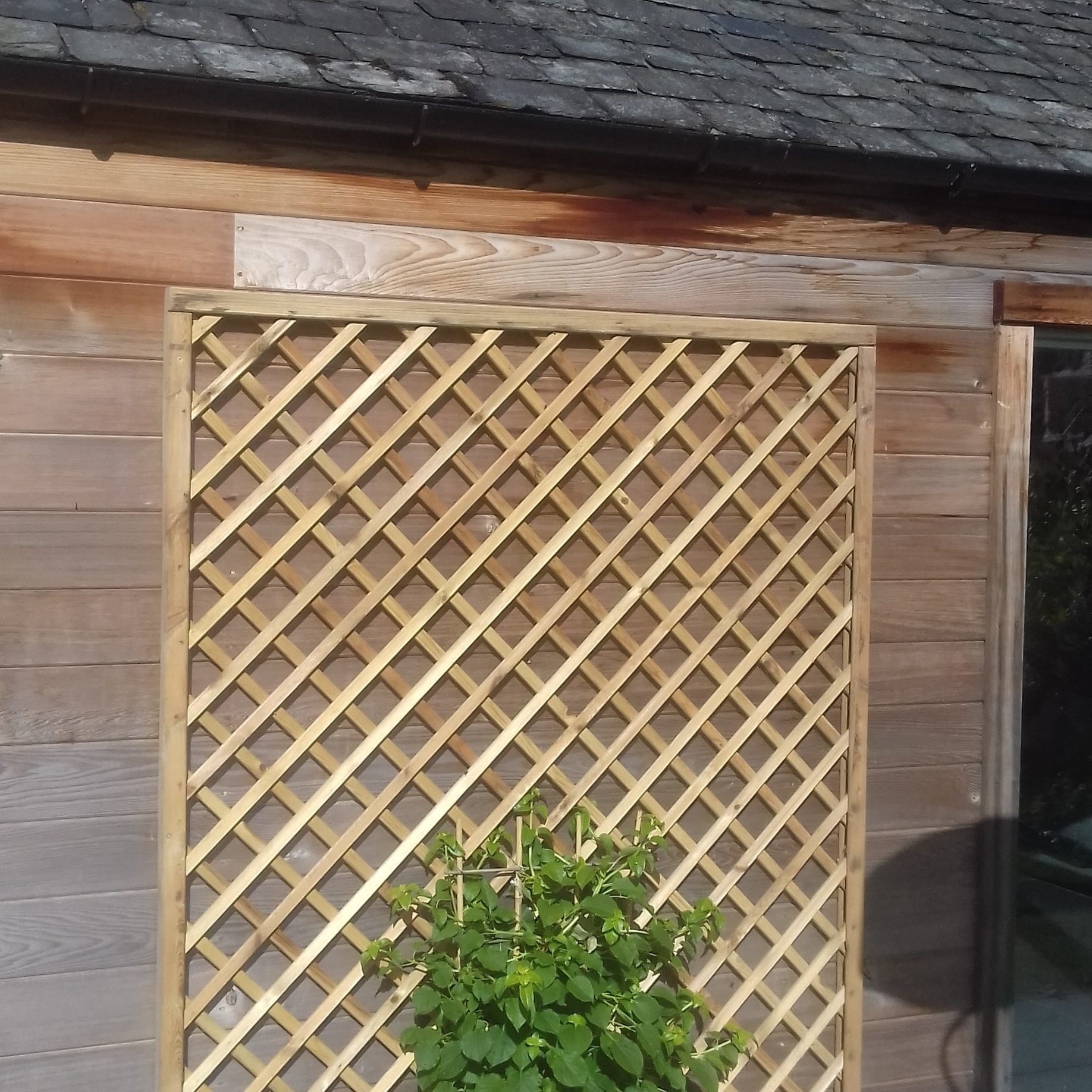 Diamond Trellis